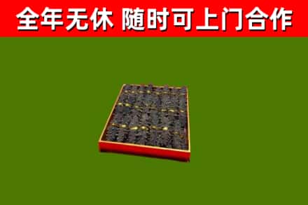 阿图什回收海参